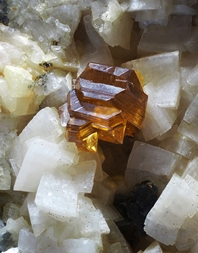 Deutschland/Nordrhein-Westfalen/Köln, Bezirk/Oberbergischer Kreis/Nümbrecht/Wirtenbach/Stbr. Schretzmair (Büschhof)