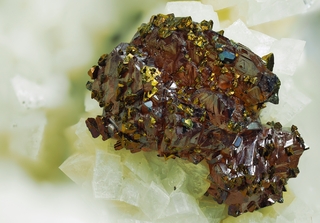 Deutschland/Nordrhein-Westfalen/Köln, Bezirk/Oberbergischer Kreis/Nümbrecht/Wirtenbach/Stbr. Schretzmair (Büschhof)