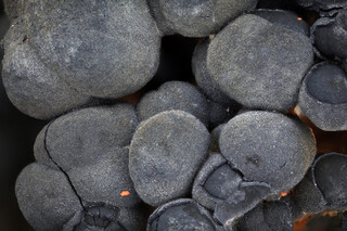 Deutschland/Hessen/Darmstadt, Bezirk/Rheingau-Taunus-Kreis/Schlangenbad, Gemeinde/Gruben Carlszeche und Wilhelm