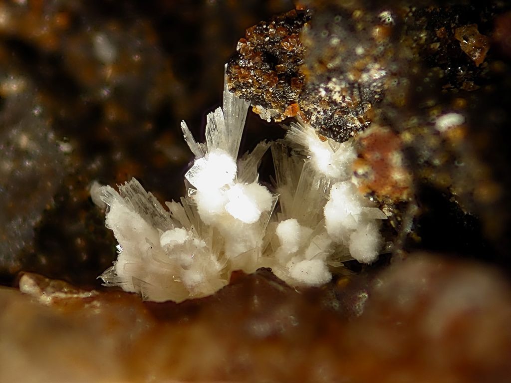 Mineralatlas Lexikon Phaunouxit