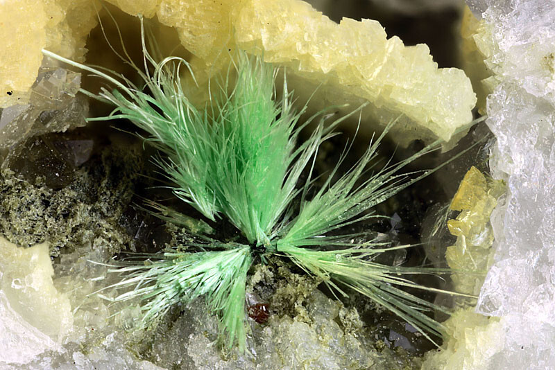 Mineralatlas Lexikon Jamborite