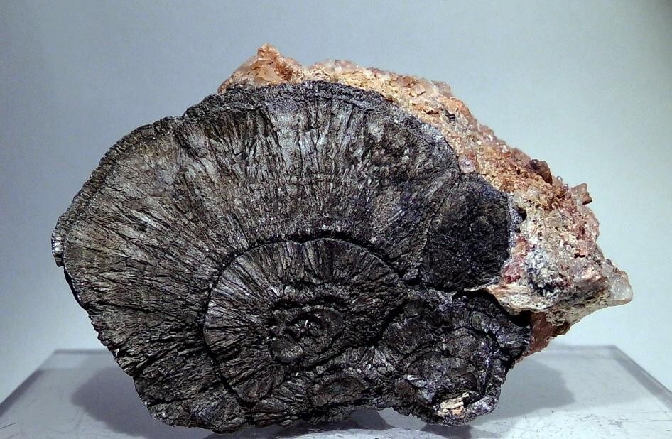 Mineralienatlas Lexikon Arsen