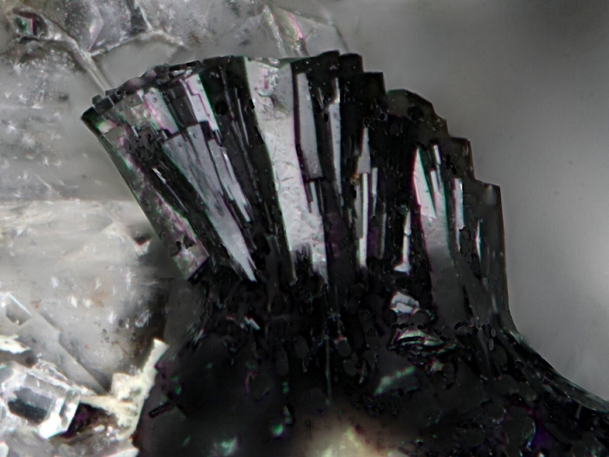 Mineralatlas Lexikon - Aegirin-Augit