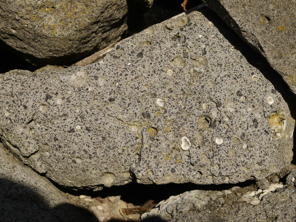 Mineralatlas Lexikon - Tephrit