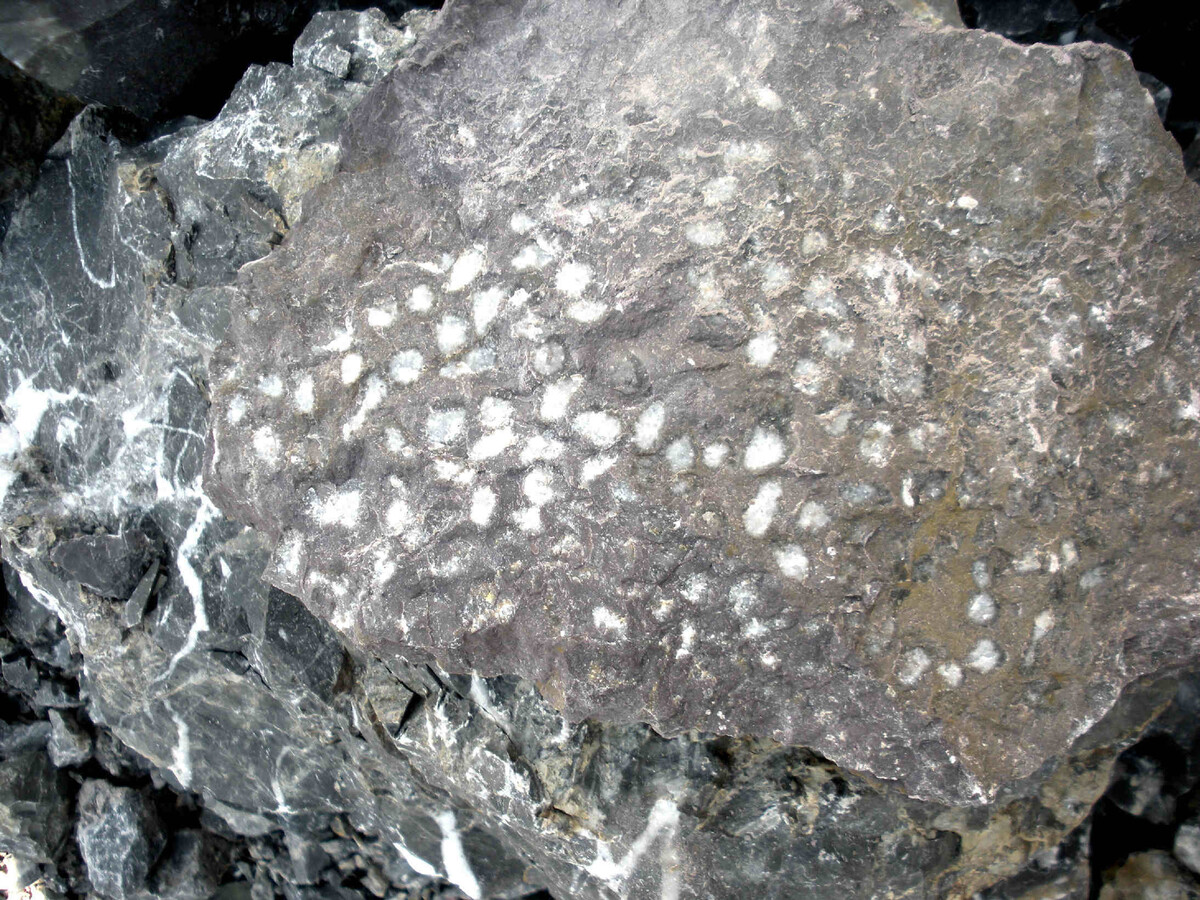 Mineralienatlas Lexikon