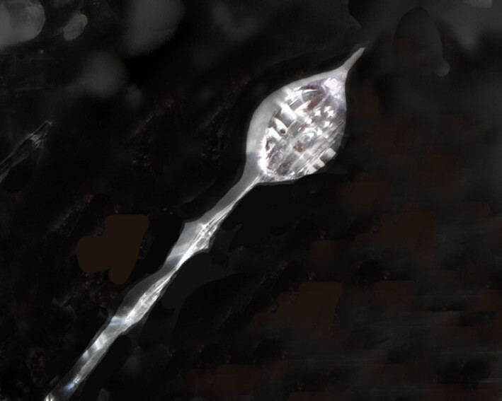 Mineralienatlas Lexikon - Augit