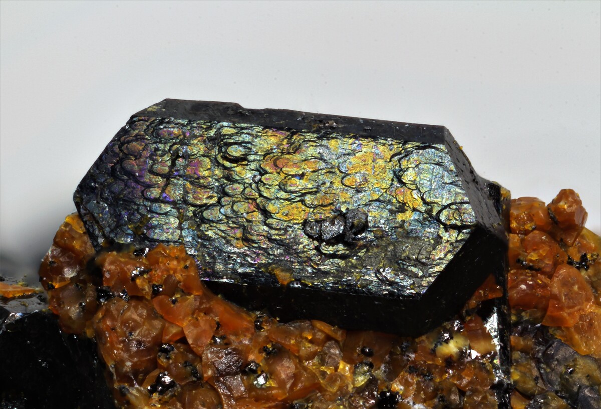 Mineralatlas Lexikon - Augit