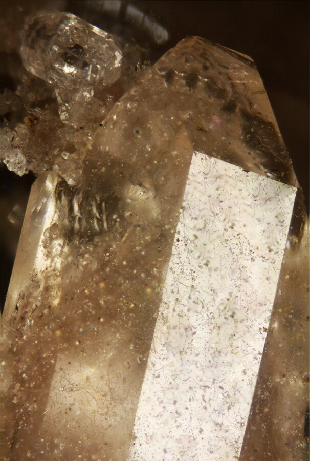 Mineralatlas Lexikon